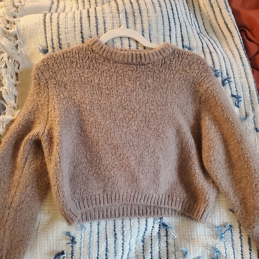 Zara Crop Style Sweater